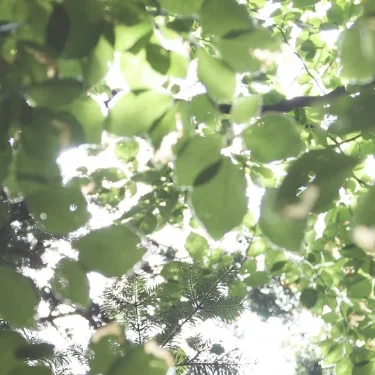 Ethisch und nachhaltig