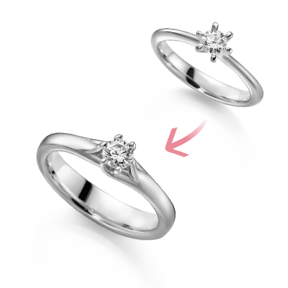 Ringschiene und Fassung